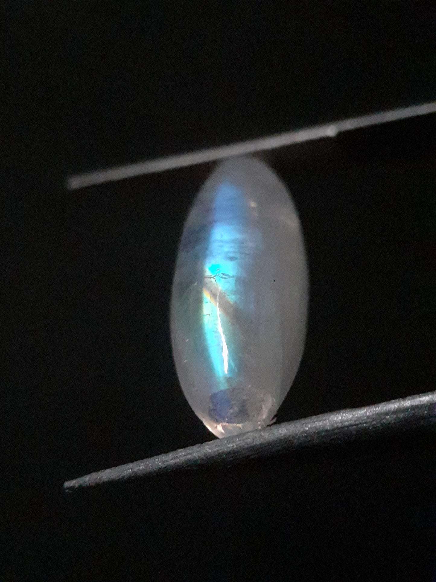 Natural Moonstone - lightblue and blue adularescence - 4.334 ct - marquise cabochon - Natural Gems Belgium