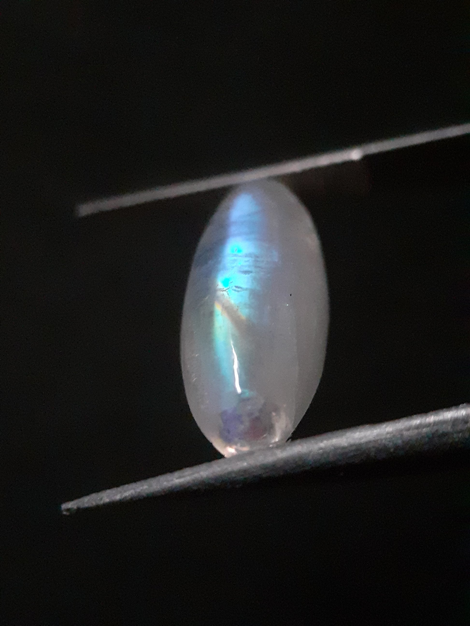 Natural Moonstone - lightblue and blue adularescence - 4.334 ct - marquise cabochon - Natural Gems Belgium