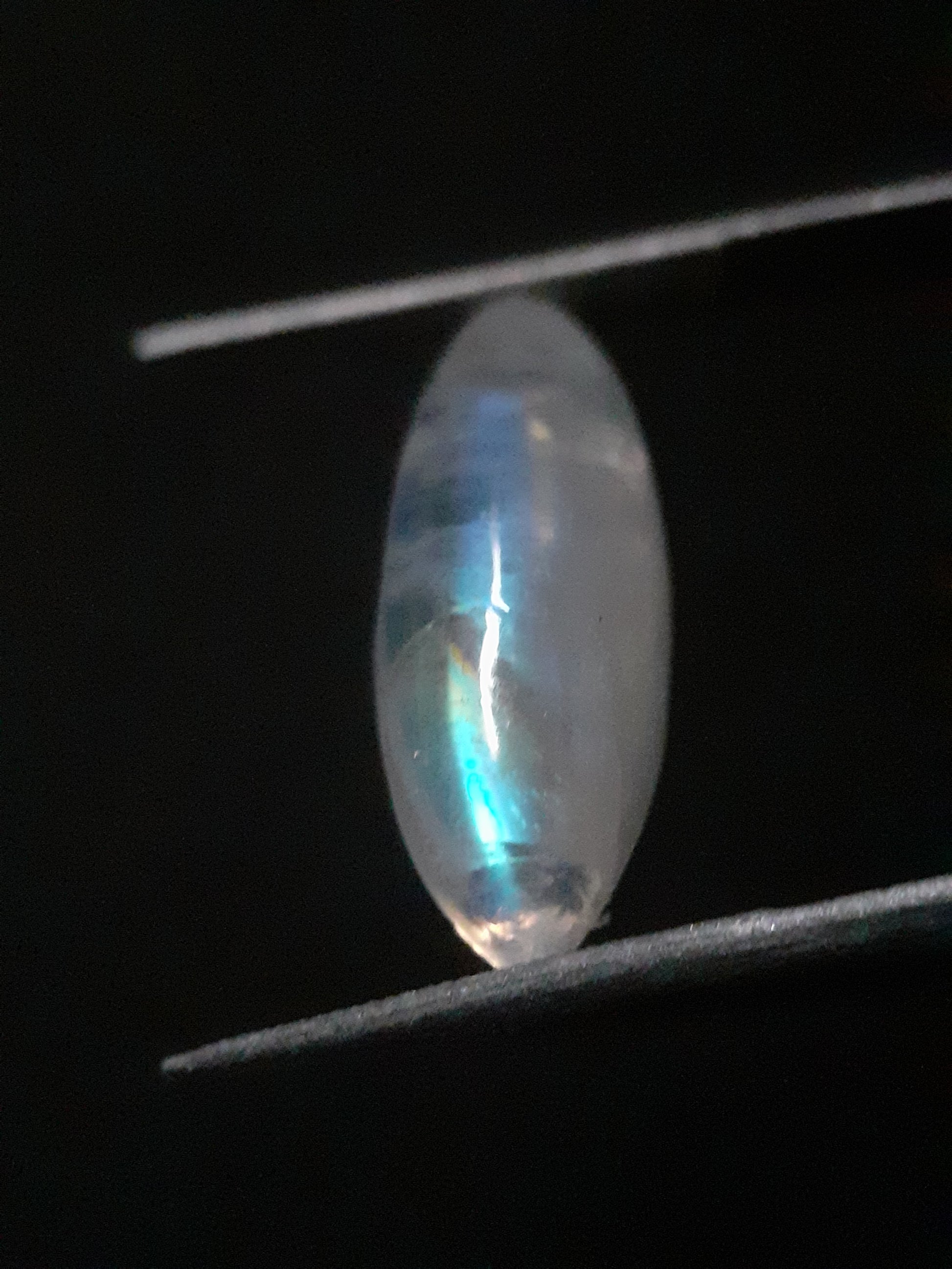 Natural Moonstone - lightblue and blue adularescence - 4.334 ct - marquise cabochon - Natural Gems Belgium