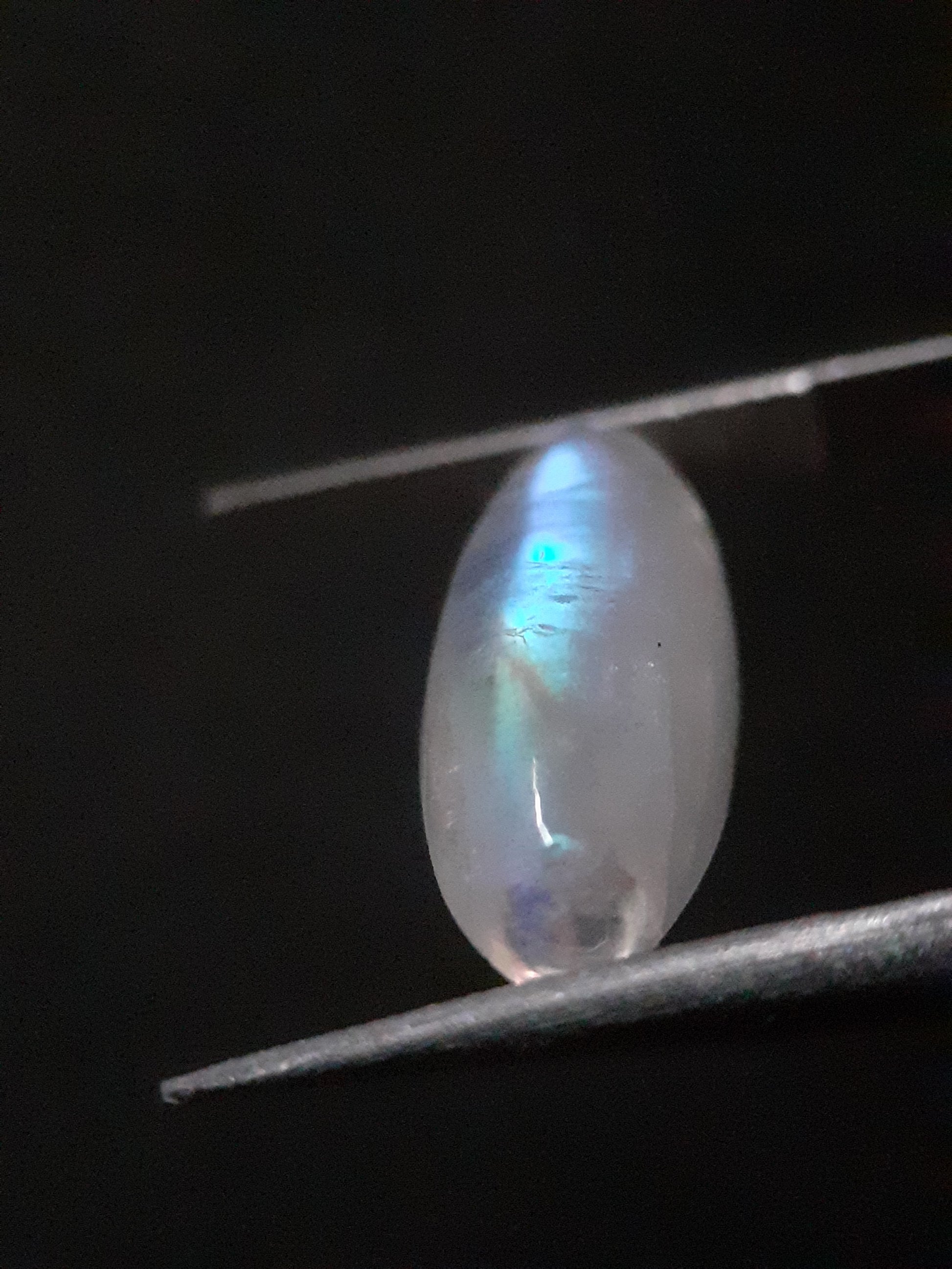 Natural Moonstone - lightblue and blue adularescence - 4.334 ct - marquise cabochon - Natural Gems Belgium