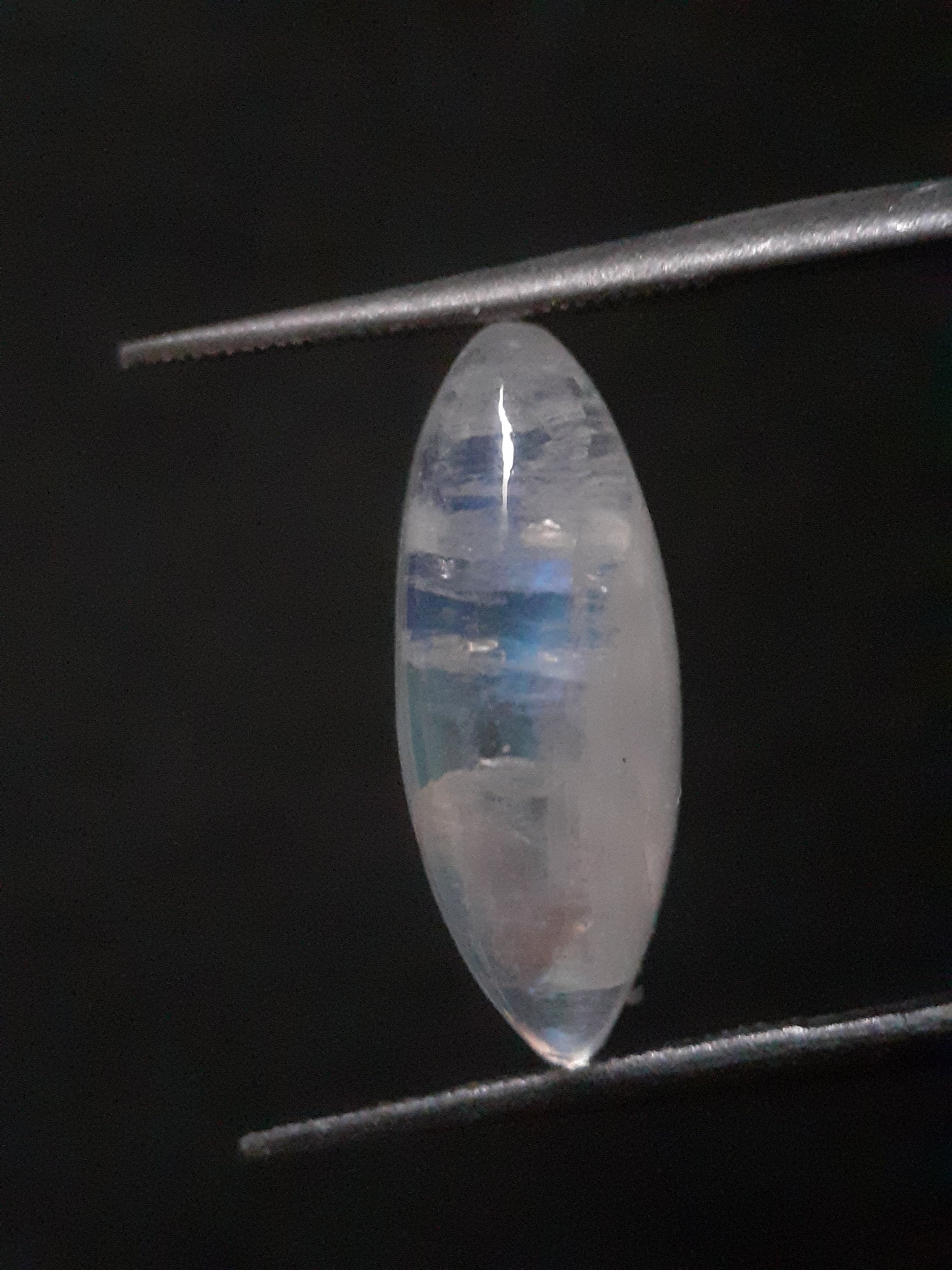 Natural Moonstone - lightblue and blue adularescence - 4.334 ct - marquise cabochon - Natural Gems Belgium