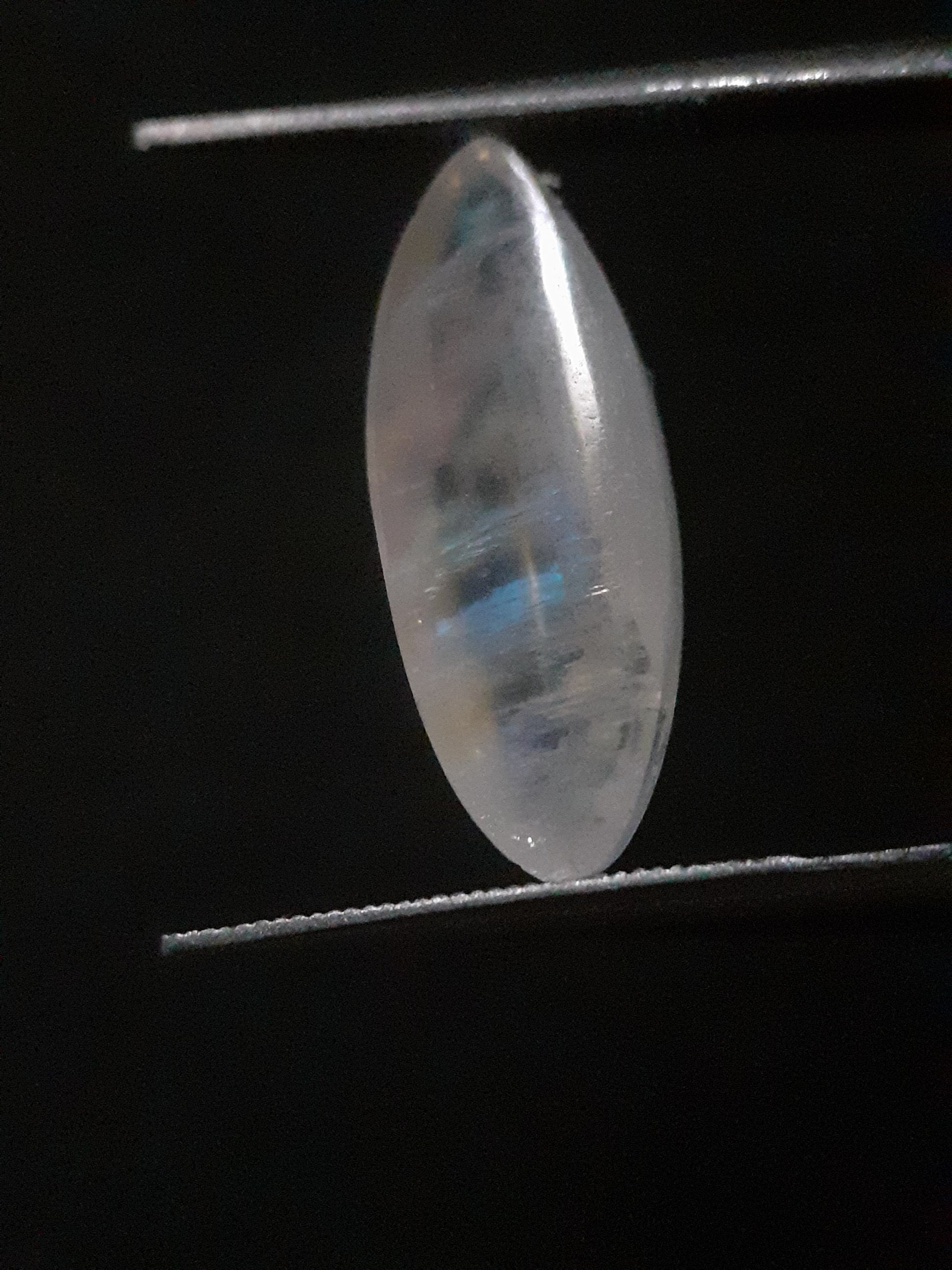 Natural Moonstone - lightblue and blue adularescence - 4.334 ct - marquise cabochon - Natural Gems Belgium