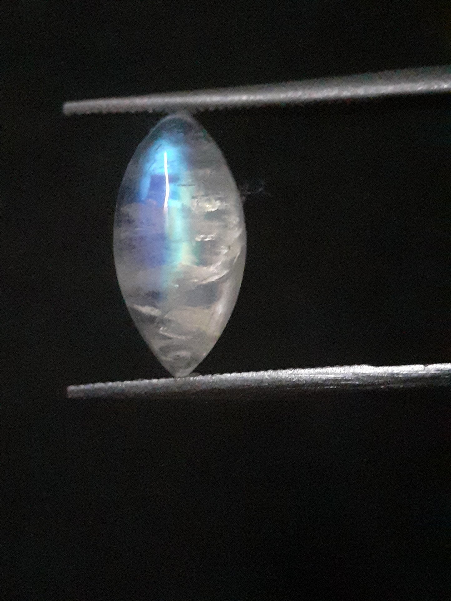 Natural Moonstone - lightblue and purplish blue adularescence - 2.298 ct - marquise cabochon - Natural Gems Belgium