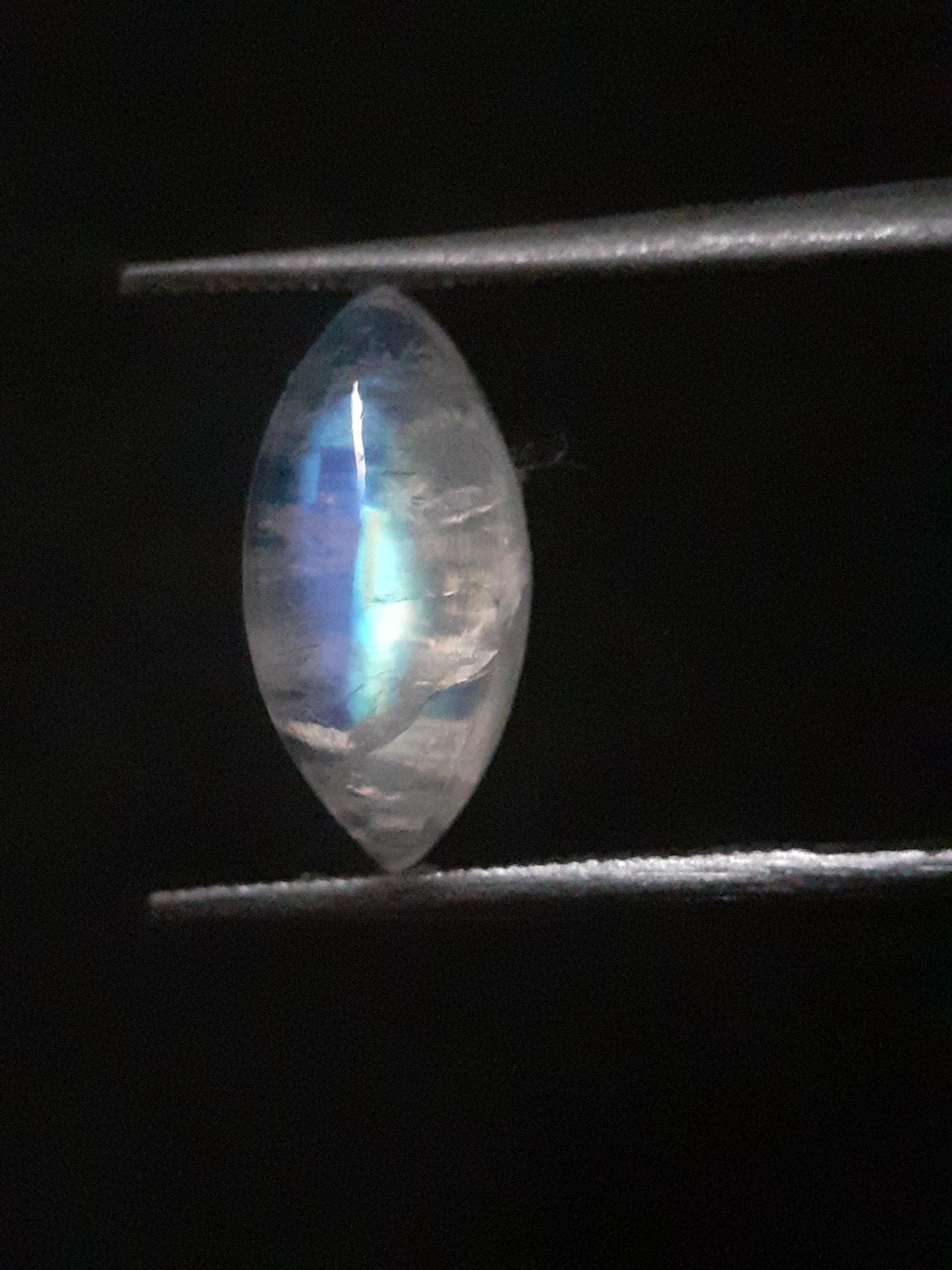 Natural Moonstone - lightblue and purplish blue adularescence - 2.298 ct - marquise cabochon - Natural Gems Belgium