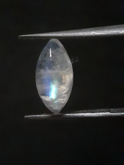 Natural Moonstone - lightblue and purplish blue adularescence - 2.298 ct - marquise cabochon - Natural Gems Belgium