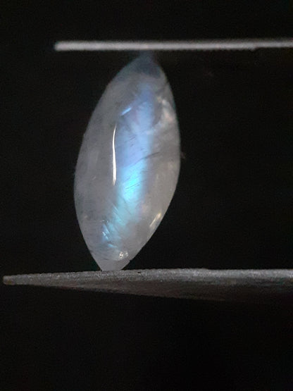 Natural Moonstone - lightblue and purplish blue adularescence - 3.704 ct - marquise cabochon - Natural Gems Belgium