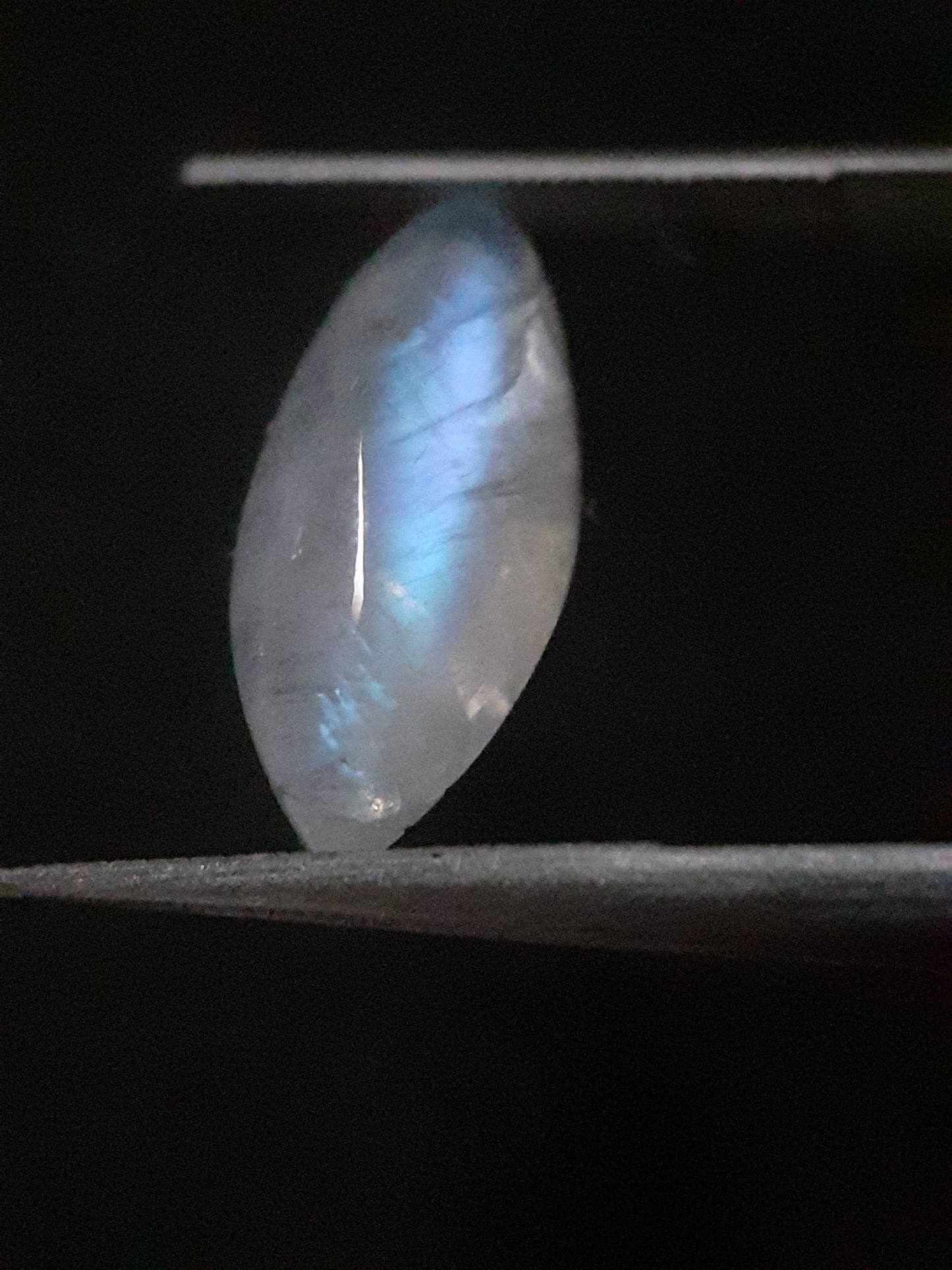 Natural Moonstone - lightblue and purplish blue adularescence - 3.704 ct - marquise cabochon - Natural Gems Belgium