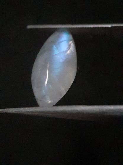 Natural Moonstone - lightblue and purplish blue adularescence - 3.704 ct - marquise cabochon - Natural Gems Belgium