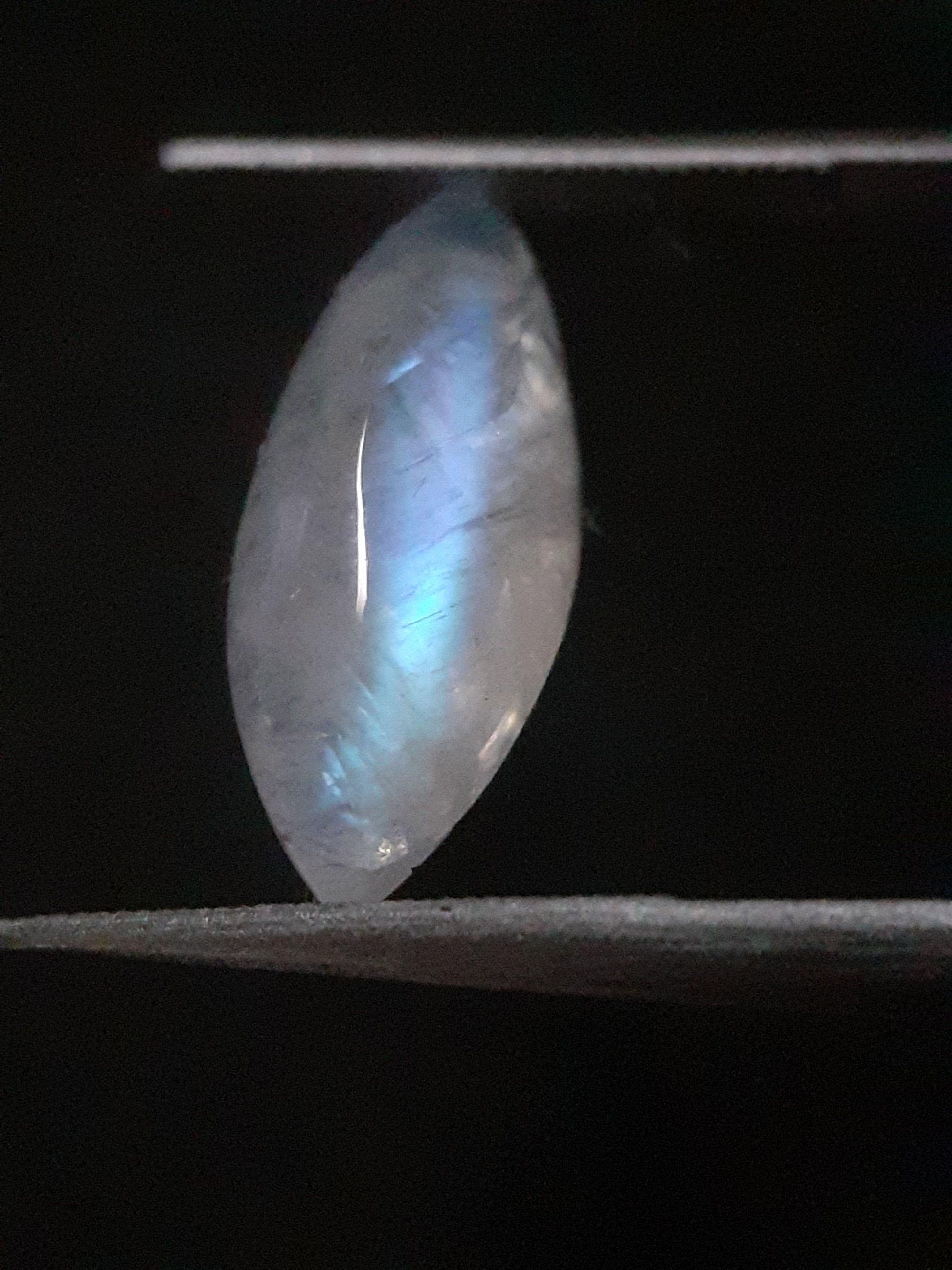 Natural Moonstone - lightblue and purplish blue adularescence - 3.704 ct - marquise cabochon - Natural Gems Belgium