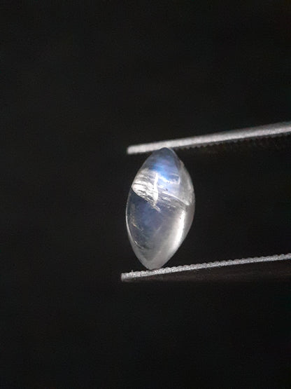 Natural Moonstone - blue adularescence - 0.919 ct - marquise cabochon - Natural Gems Belgium