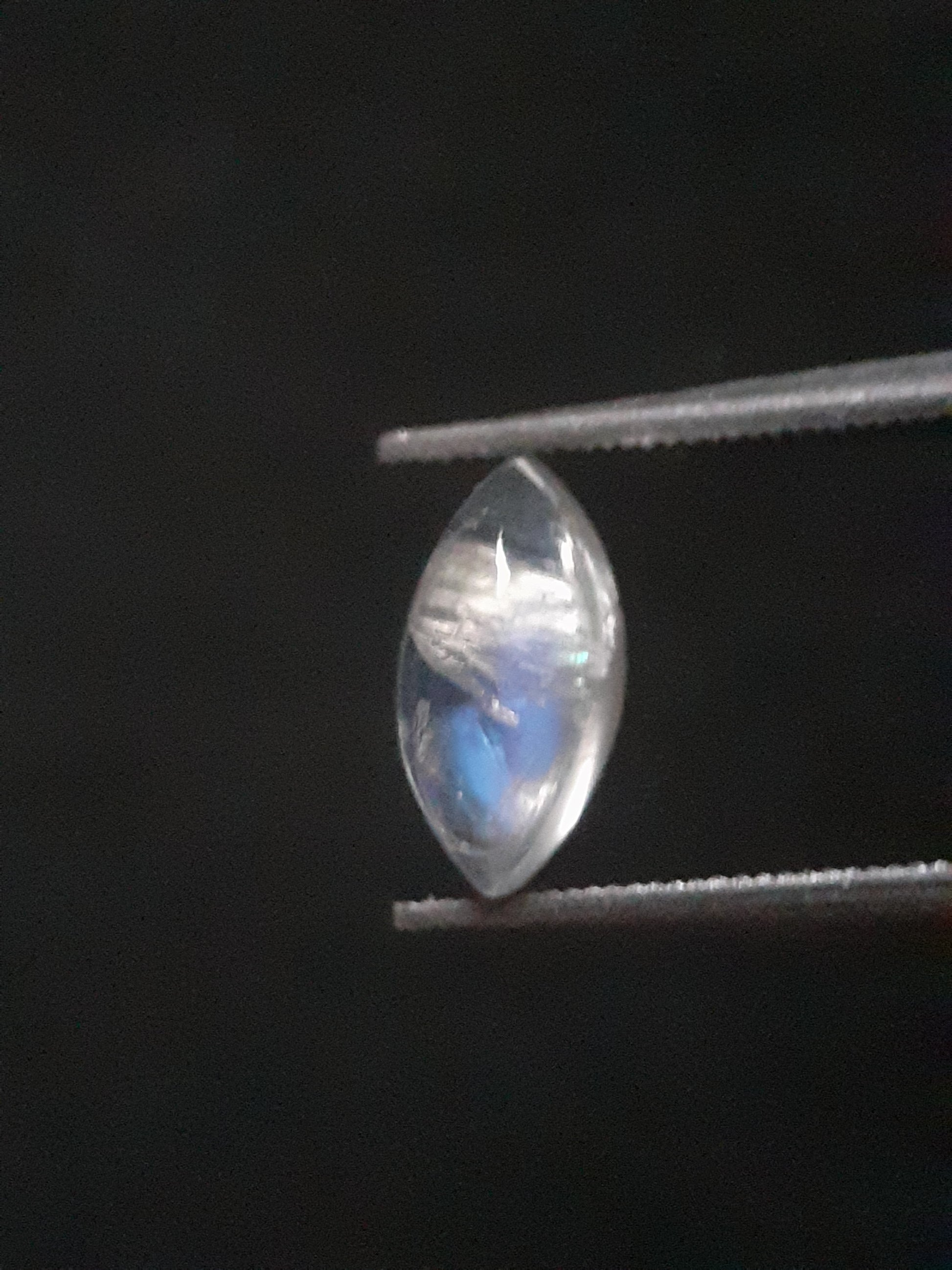 Natural Moonstone - blue adularescence - 0.919 ct - marquise cabochon - Natural Gems Belgium