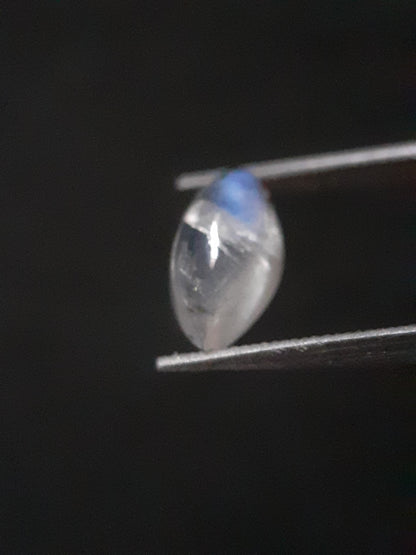 Natural Moonstone - blue adularescence - 0.919 ct - marquise cabochon - Natural Gems Belgium