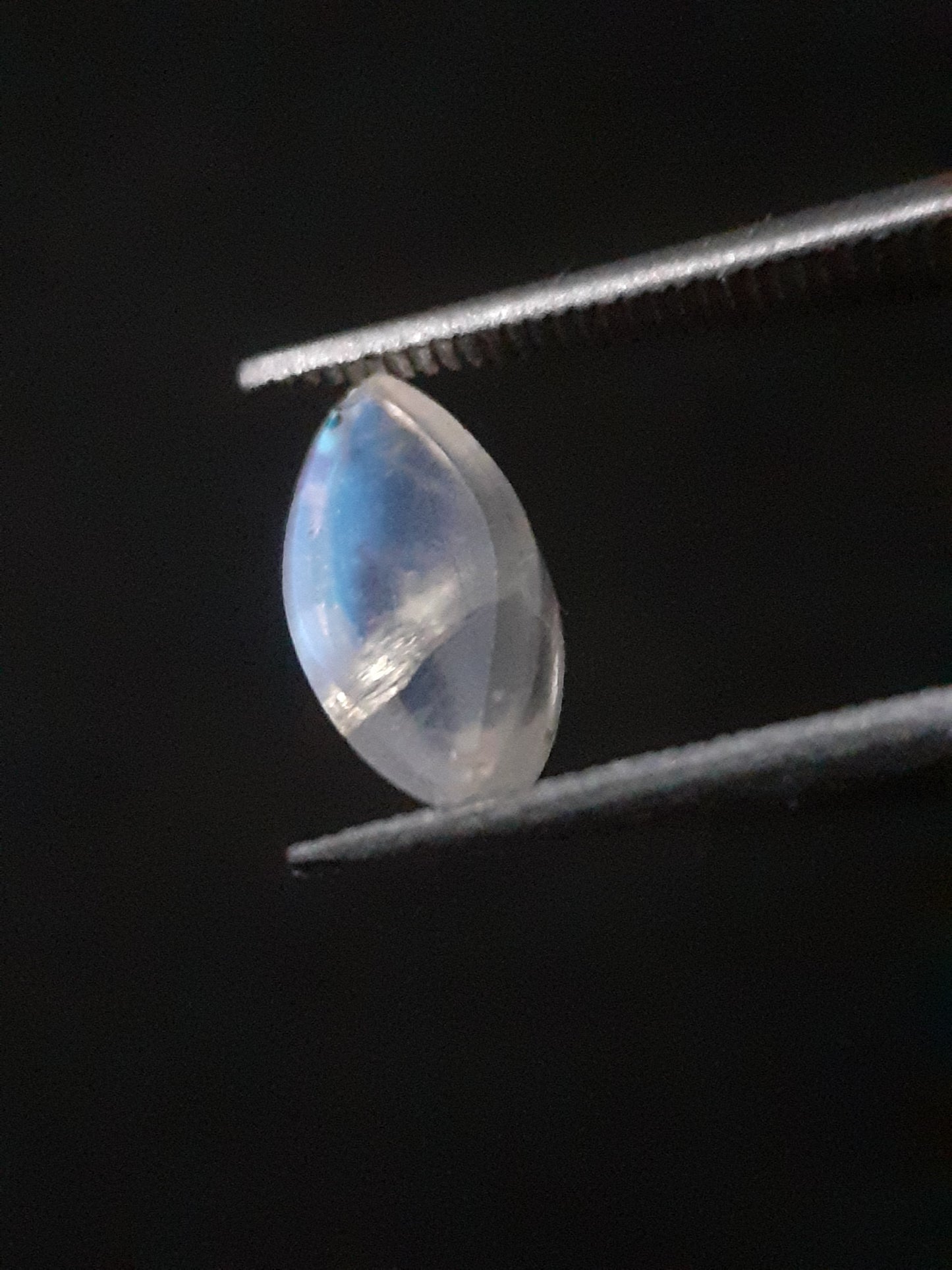 Natural Moonstone - blue adularescence - 0.919 ct - marquise cabochon - Natural Gems Belgium