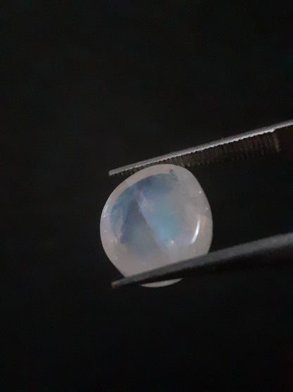 Natural Moonstone - light blue adularescence - 4.160 ct - oval cabochon - Natural Gems Belgium