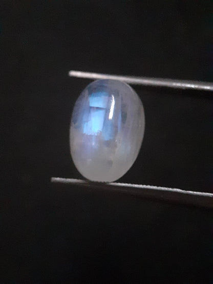 Natural Moonstone - light blue and blue adularescence - 4.478 ct - oval cabochon - Natural Gems Belgium