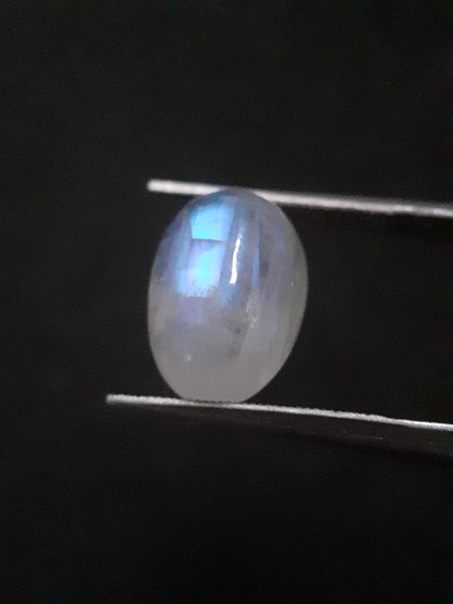 Natural Moonstone - light blue and blue adularescence - 4.478 ct - oval cabochon - Natural Gems Belgium