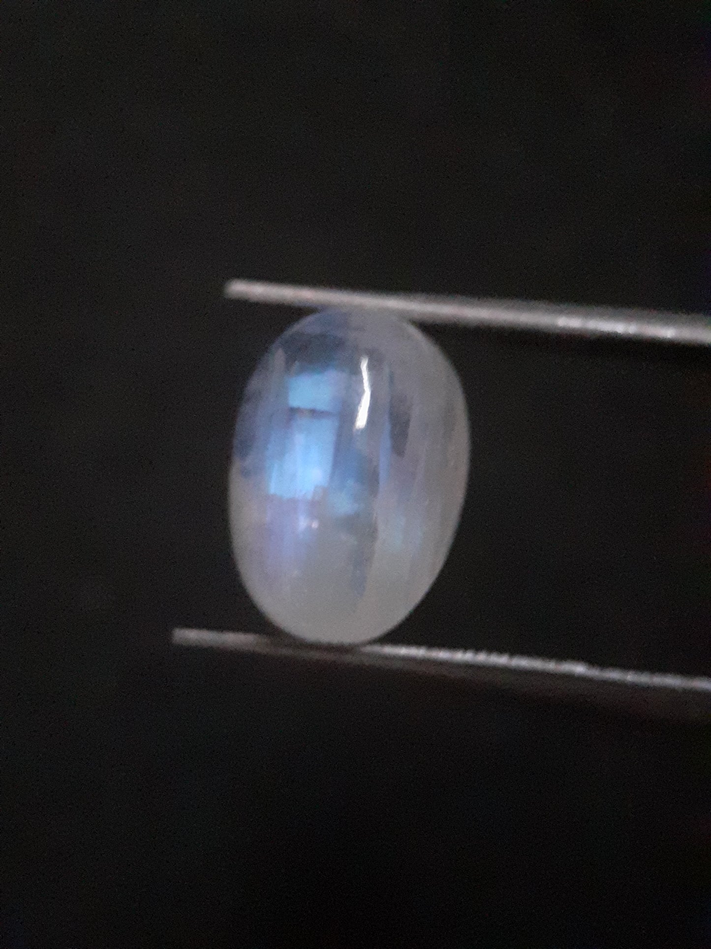 Natural Moonstone - light blue and blue adularescence - 4.478 ct - oval cabochon - Natural Gems Belgium