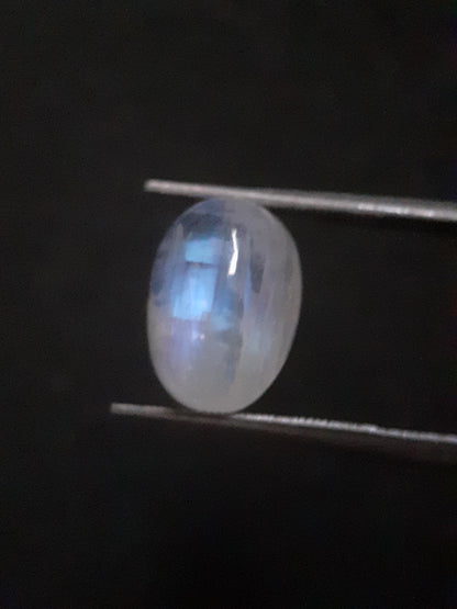 Natural Moonstone - light blue and blue adularescence - 4.478 ct - oval cabochon - Natural Gems Belgium