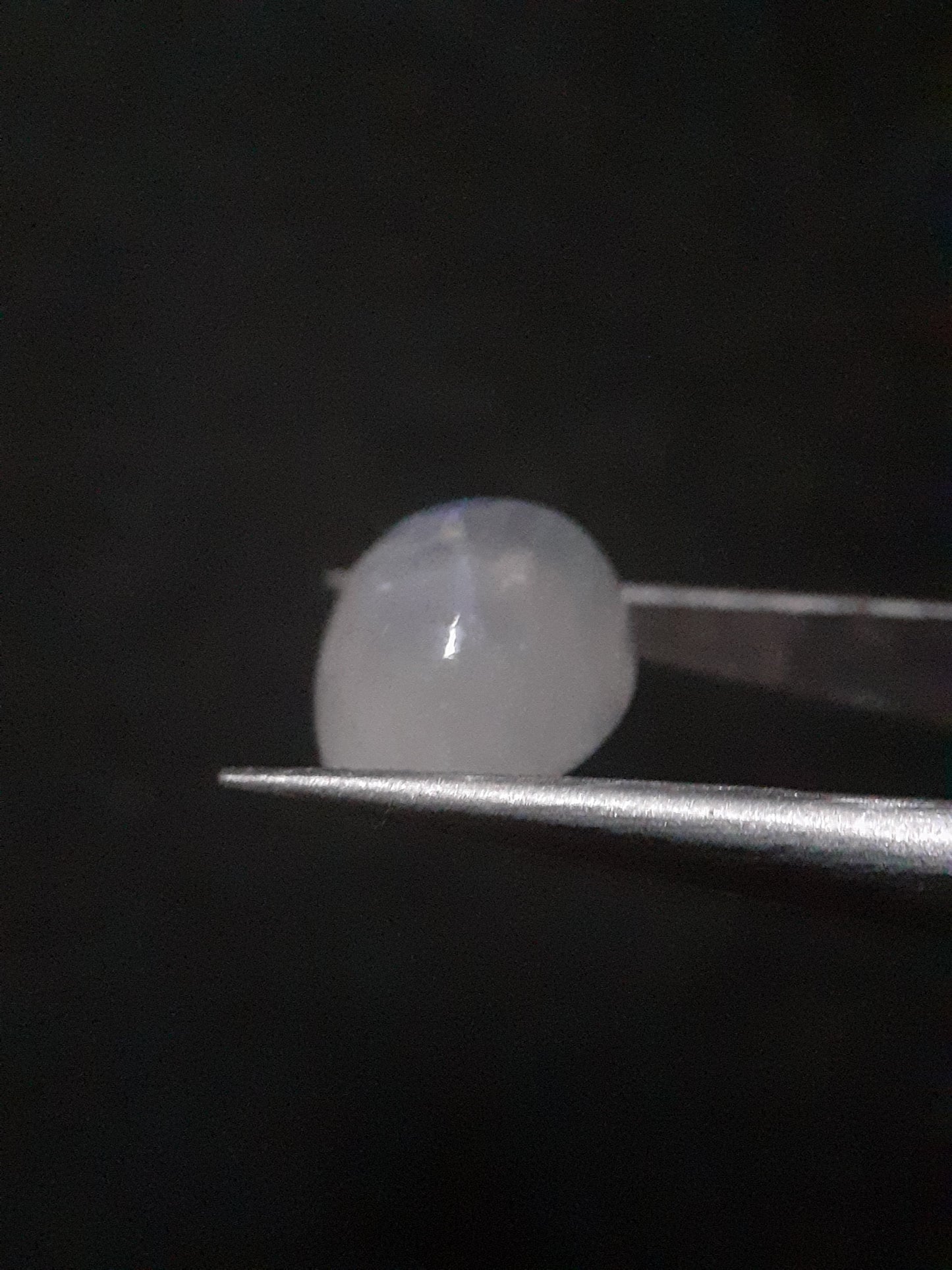 Natural Moonstone - light blue and blue adularescence - 4.478 ct - oval cabochon - Natural Gems Belgium