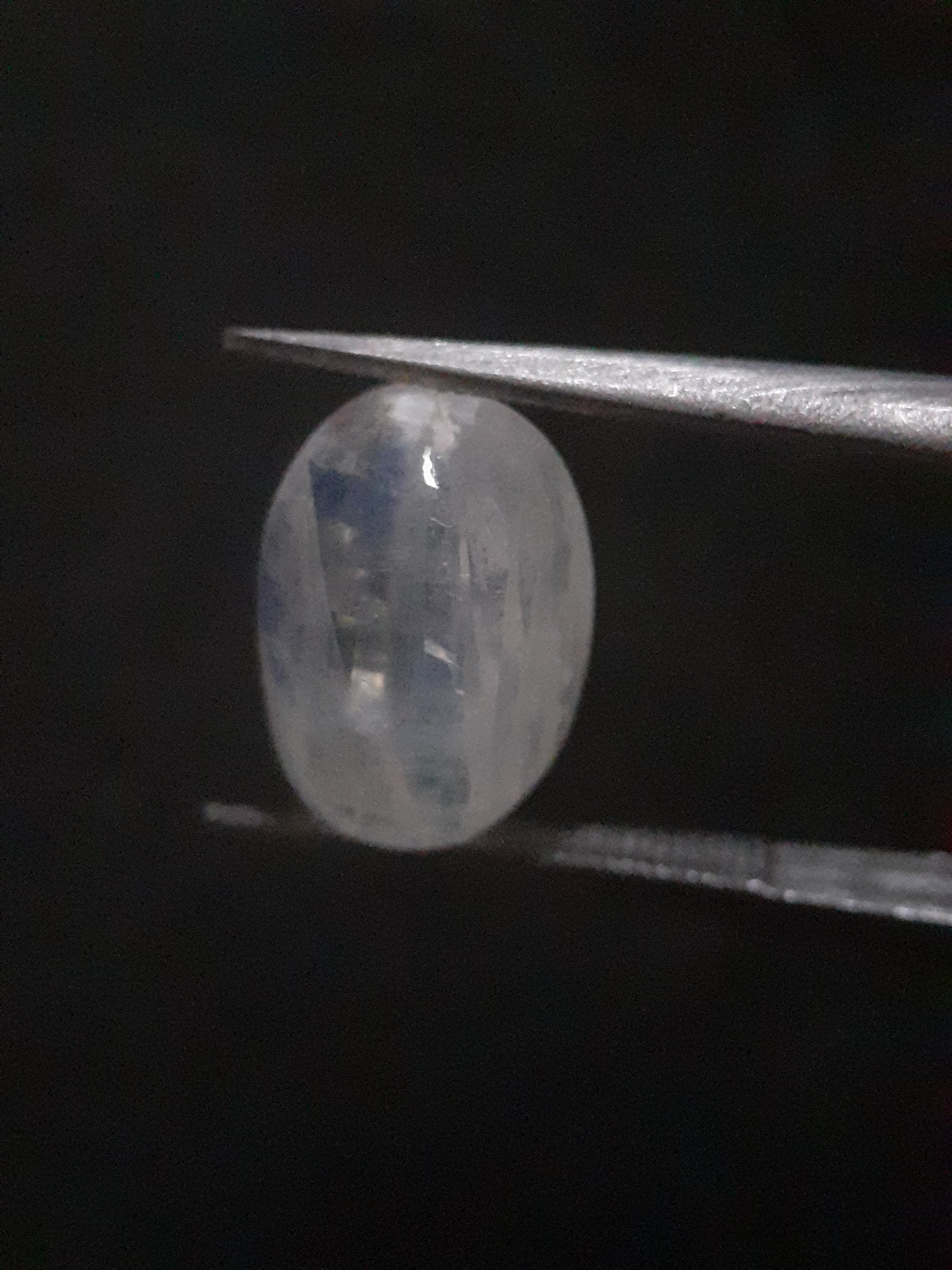 Natural Moonstone - light blue and blue adularescence - 4.478 ct - oval cabochon - Natural Gems Belgium