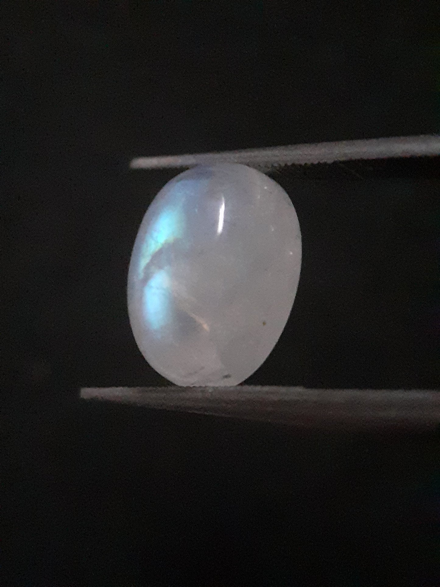 Natural Moonstone - light blue adularescence - 4.148 ct - oval cabochon - Natural Gems Belgium