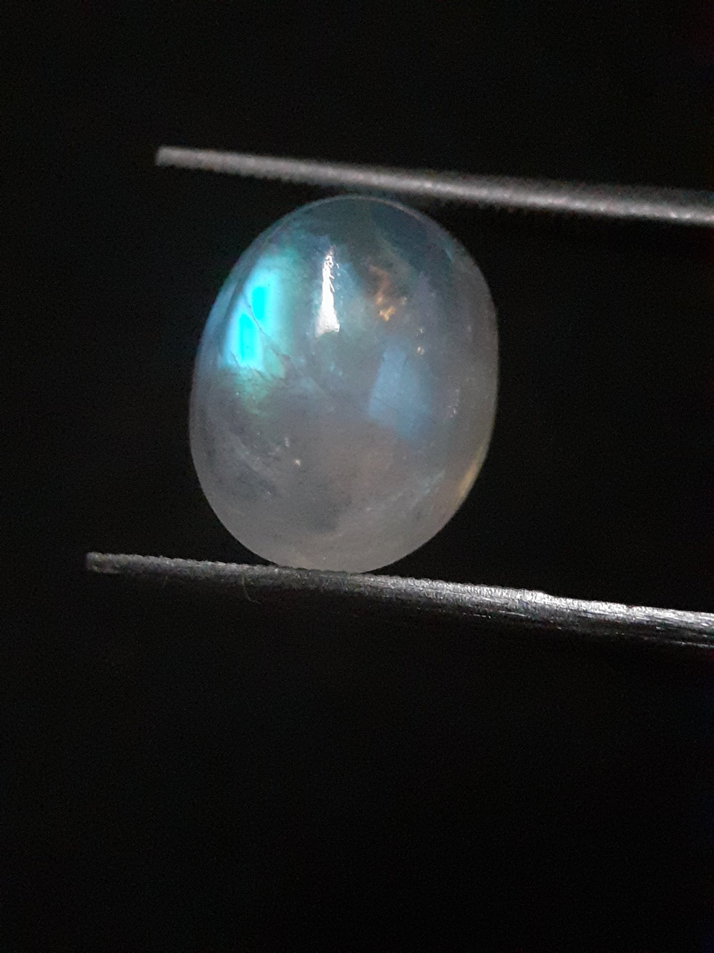 Natural Moonstone - light blue adularescence - 4.039 ct - oval cabochon - Natural Gems Belgium