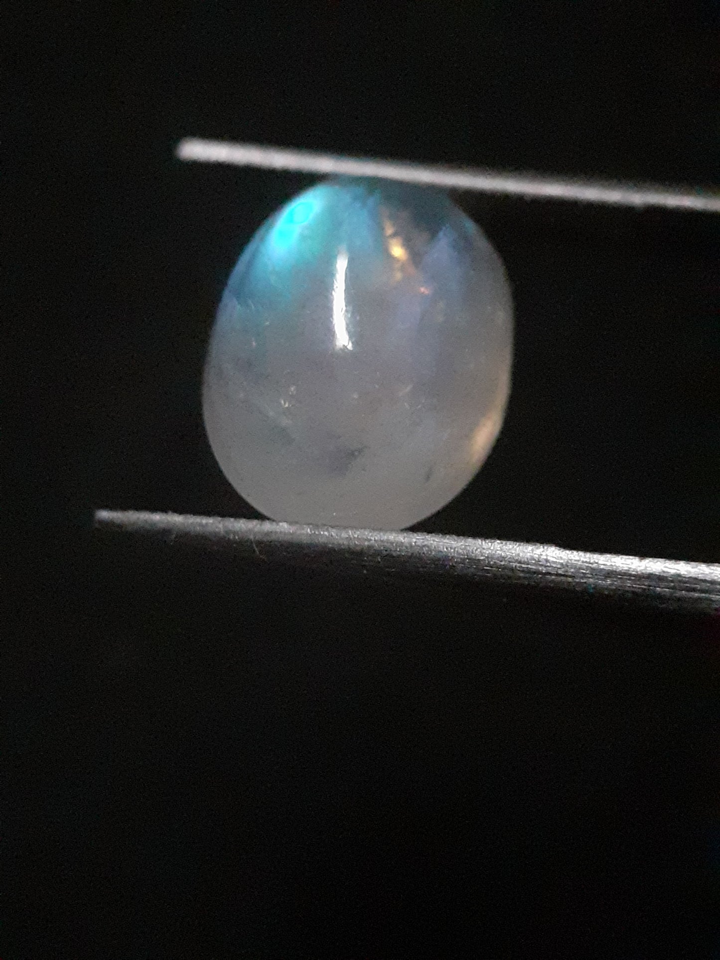 Natural Moonstone - light blue adularescence - 4.039 ct - oval cabochon - Natural Gems Belgium