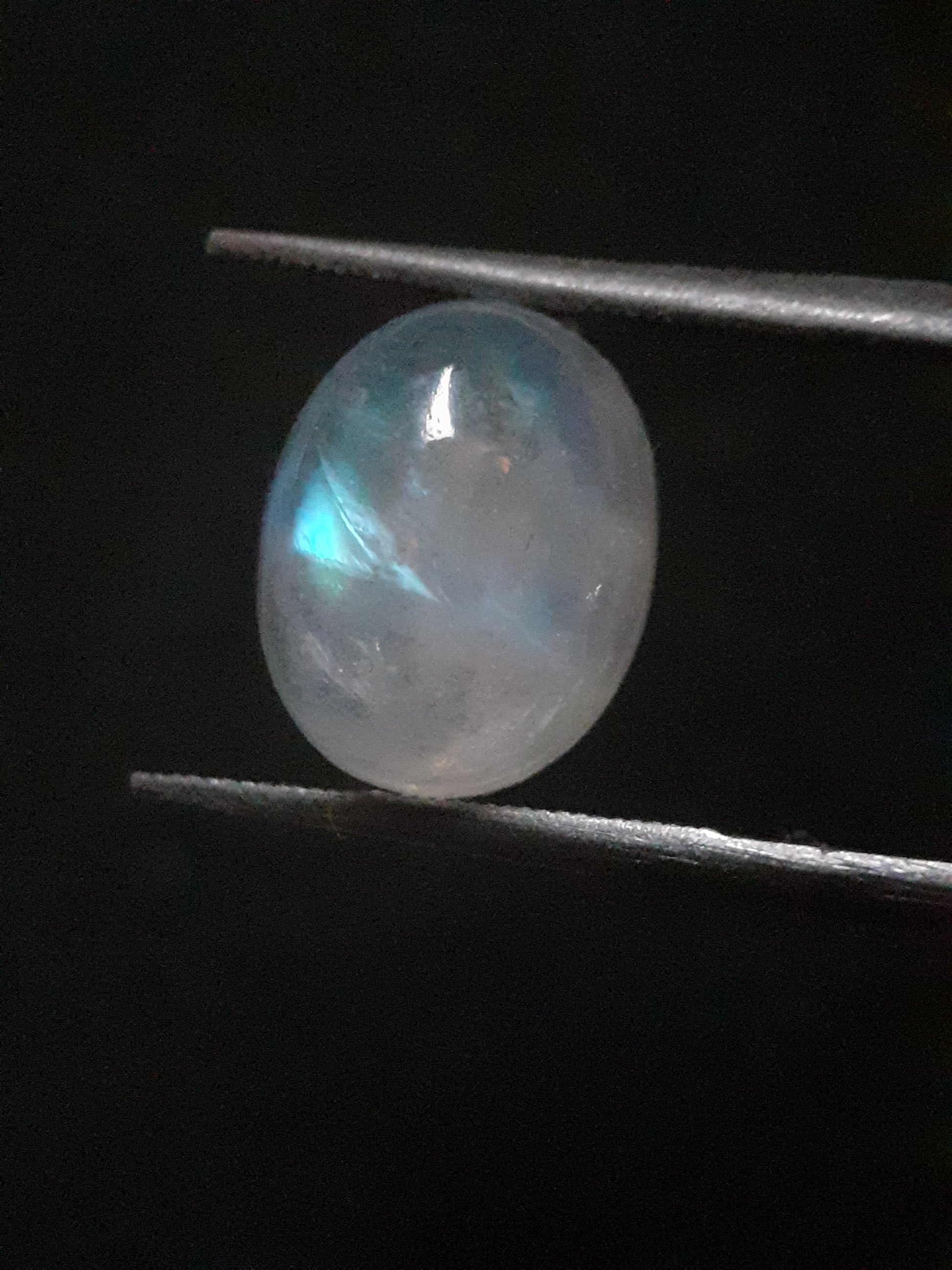 Natural Moonstone - light blue adularescence - 4.039 ct - oval cabochon - Natural Gems Belgium