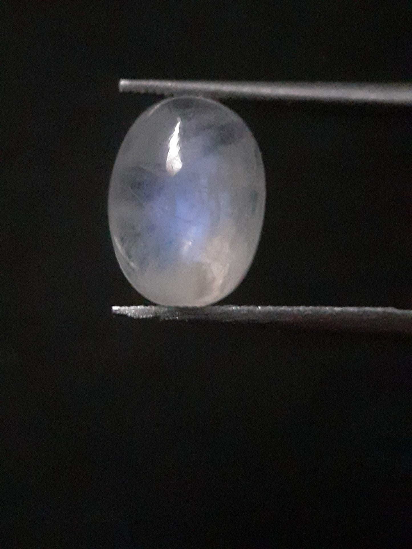 Natural Moonstone - faint blue adularescence - 3.220 ct - oval cabochon - Natural Gems Belgium