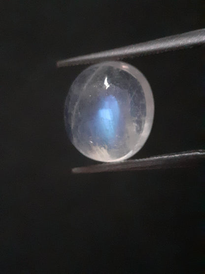 Natural Moonstone - faint blue adularescence - 3.518 ct - oval cabochon - Natural Gems Belgium