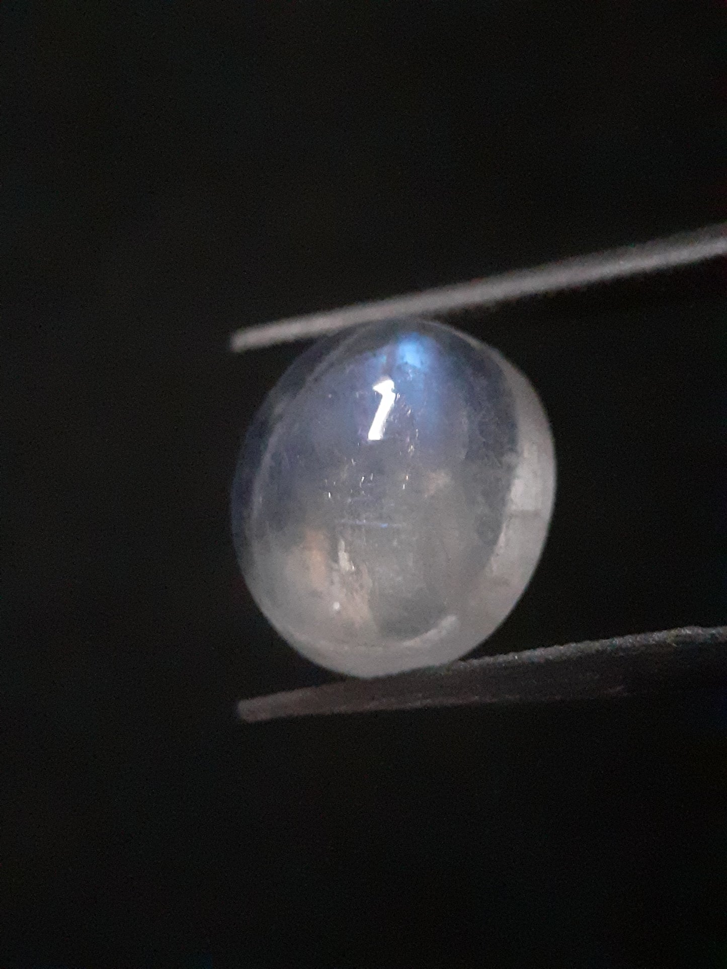 Natural Moonstone - faint blue adularescence - 3.518 ct - oval cabochon - Natural Gems Belgium