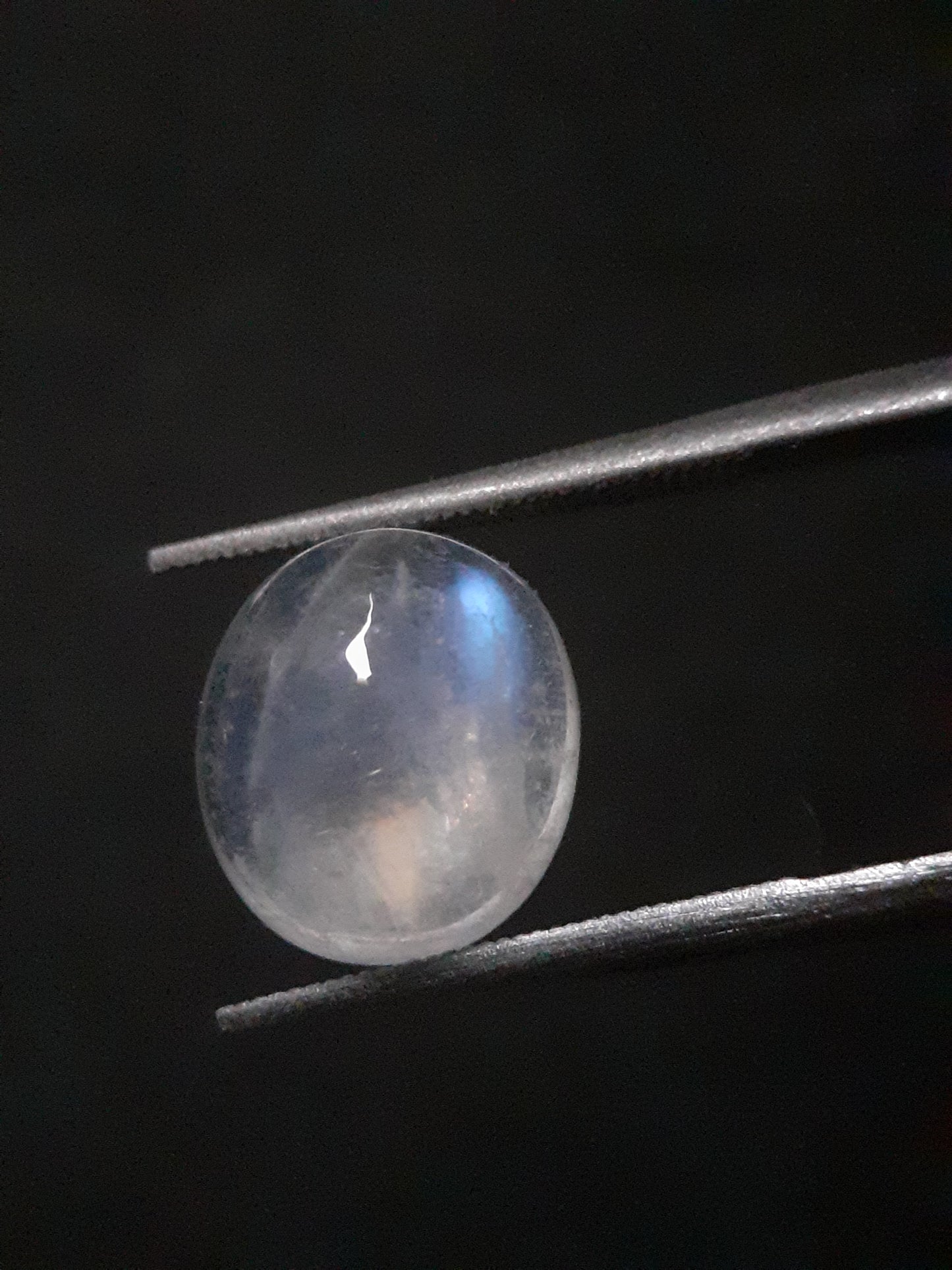 Natural Moonstone - faint blue adularescence - 3.518 ct - oval cabochon - Natural Gems Belgium