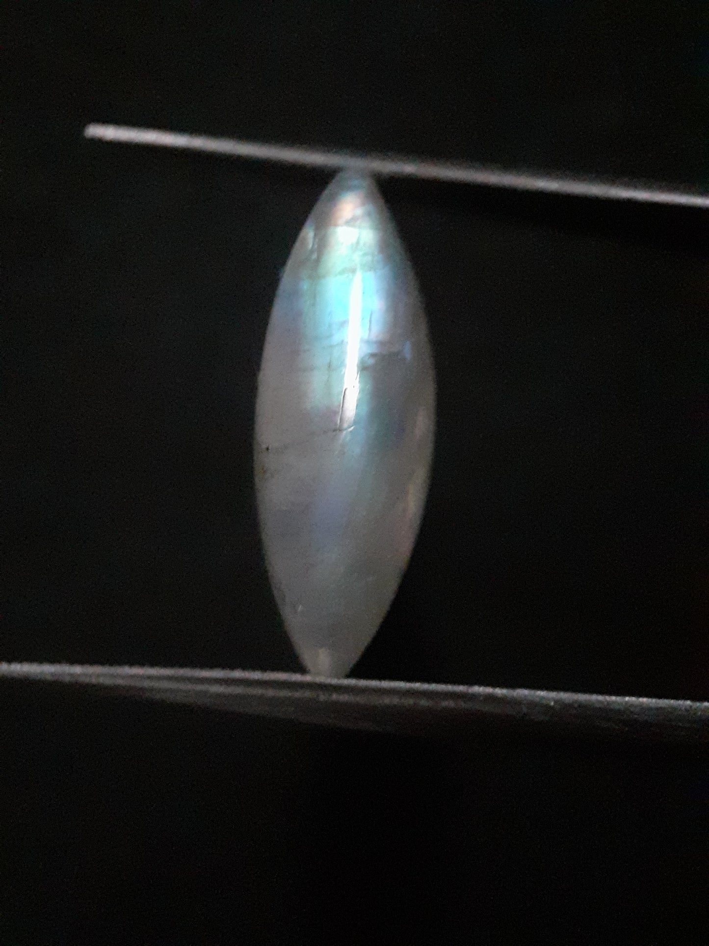 Natural Moonstone - rainbow adularescence - 7.535 ct - marquise cabochon - Natural Gems Belgium