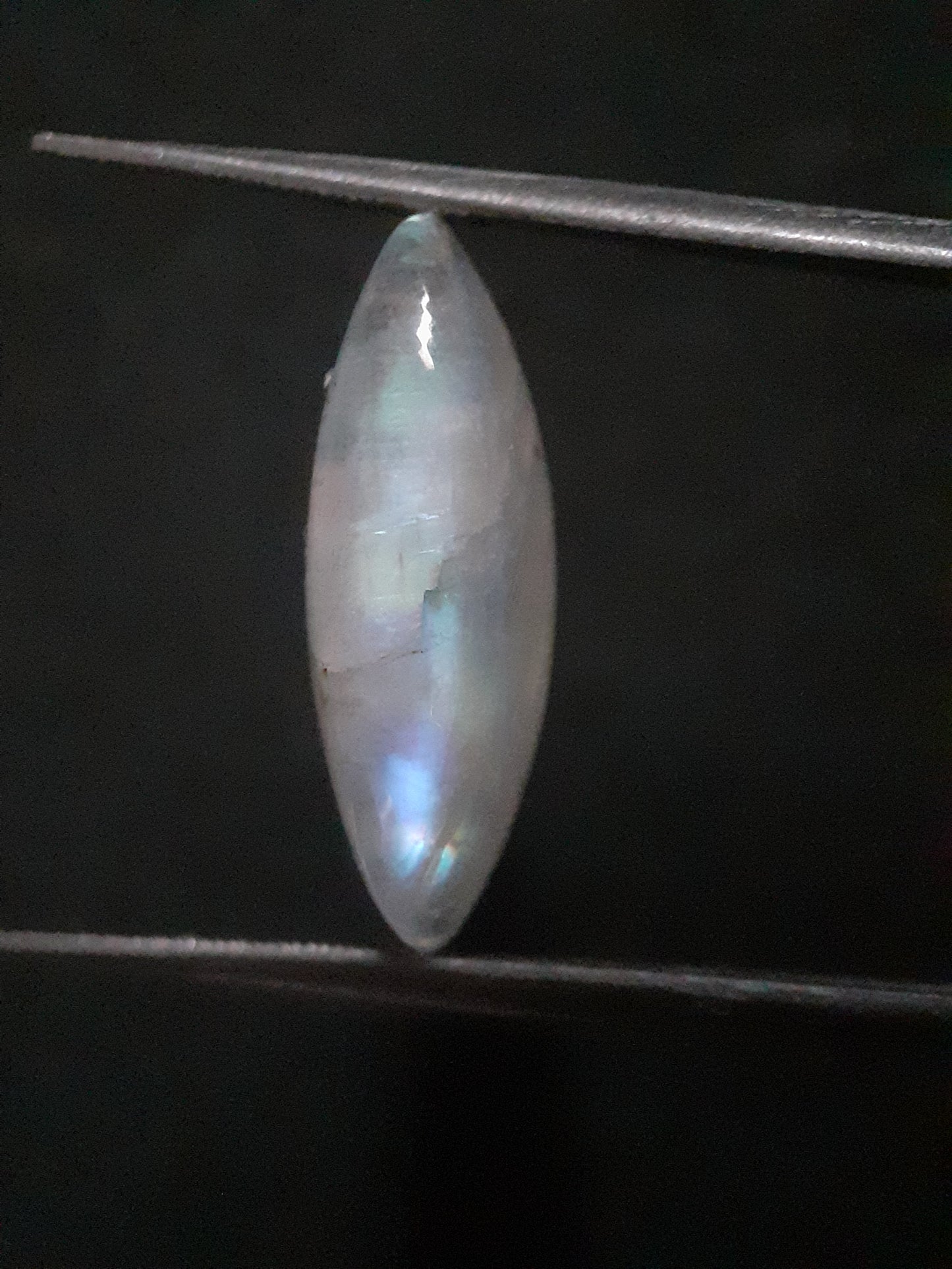 Natural Moonstone - rainbow adularescence - 7.535 ct - marquise cabochon - Natural Gems Belgium