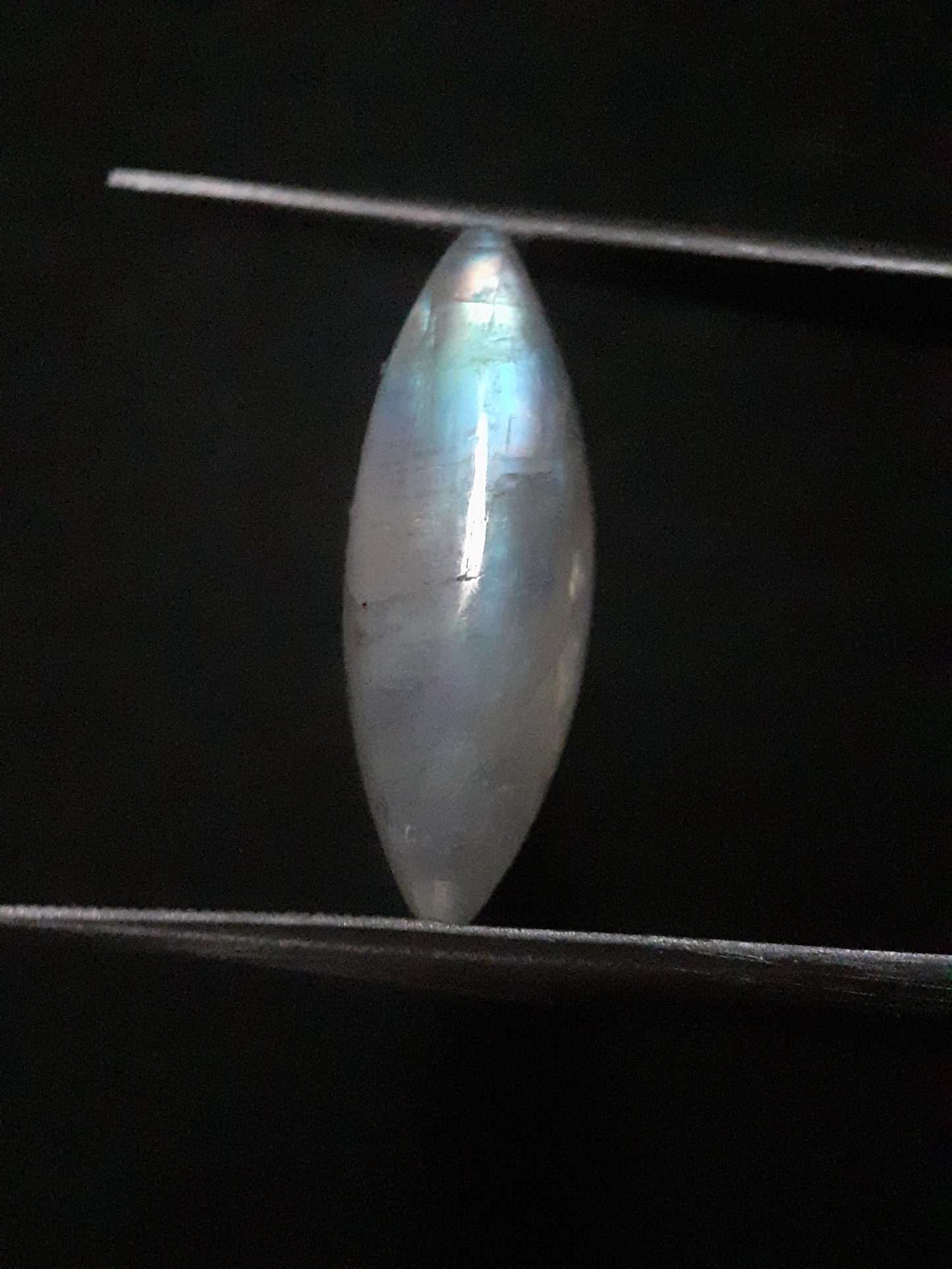 Natural Moonstone - rainbow adularescence - 7.535 ct - marquise cabochon - Natural Gems Belgium