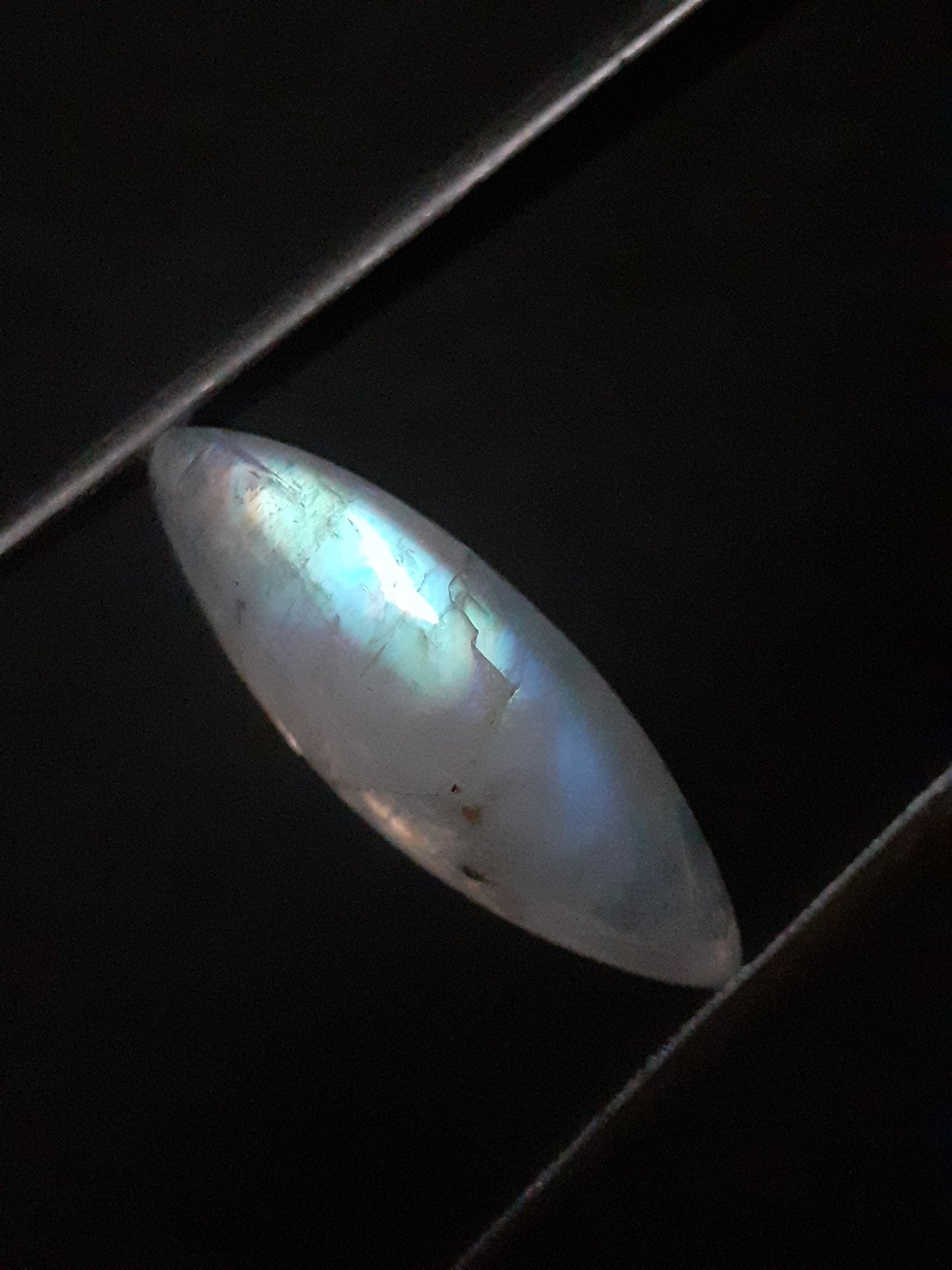 Natural Moonstone - rainbow adularescence - 7.535 ct - marquise cabochon - Natural Gems Belgium