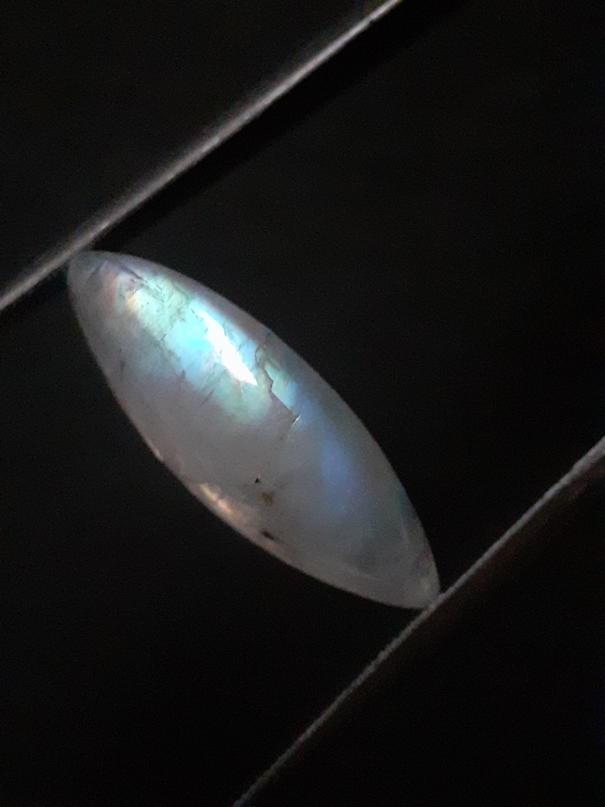 Natural Moonstone - rainbow adularescence - 7.535 ct - marquise cabochon - Natural Gems Belgium