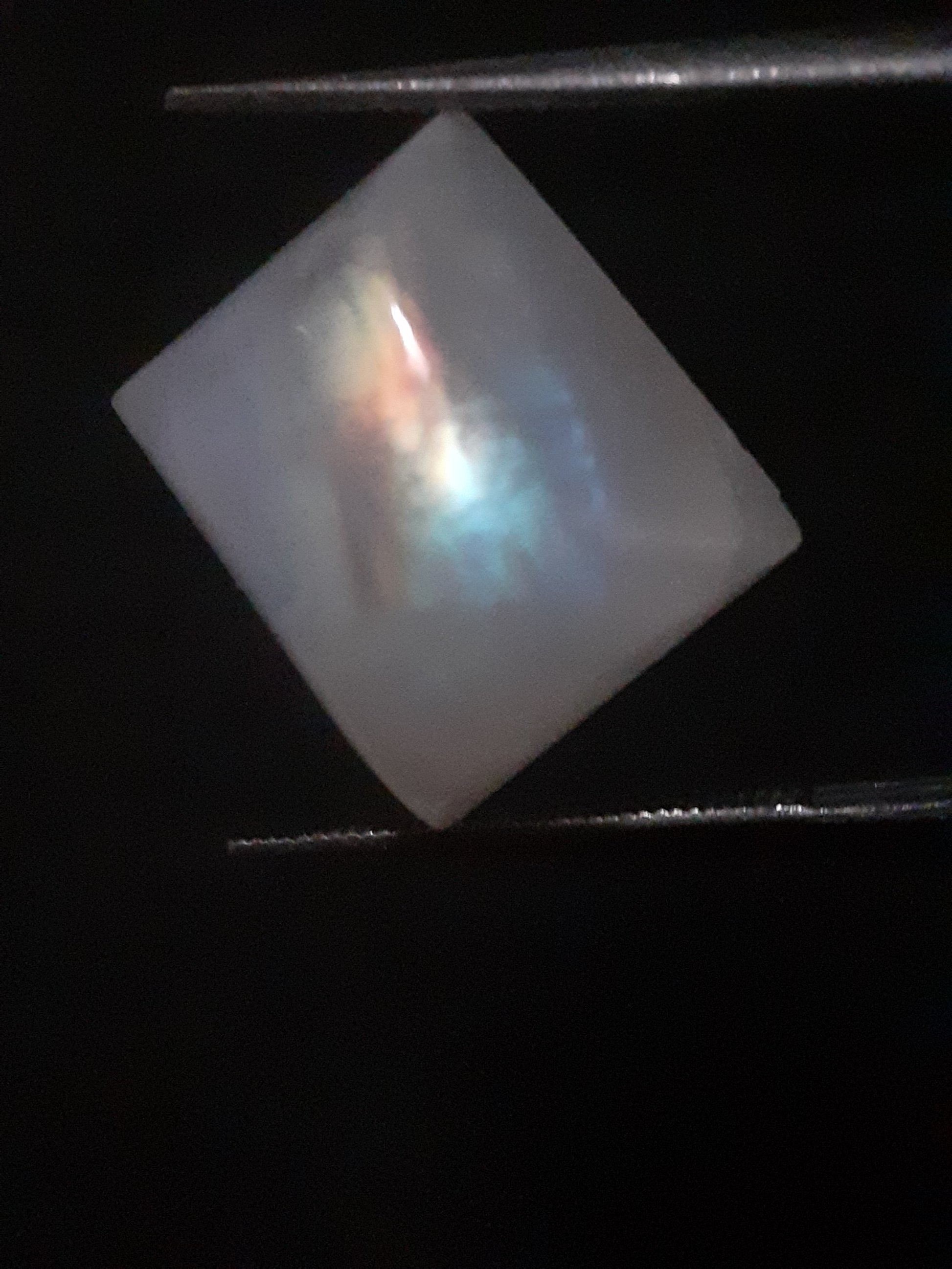 Natural Moonstone - rainbow adularescence - 11.583 ct - cushion cabochon - Natural Gems Belgium