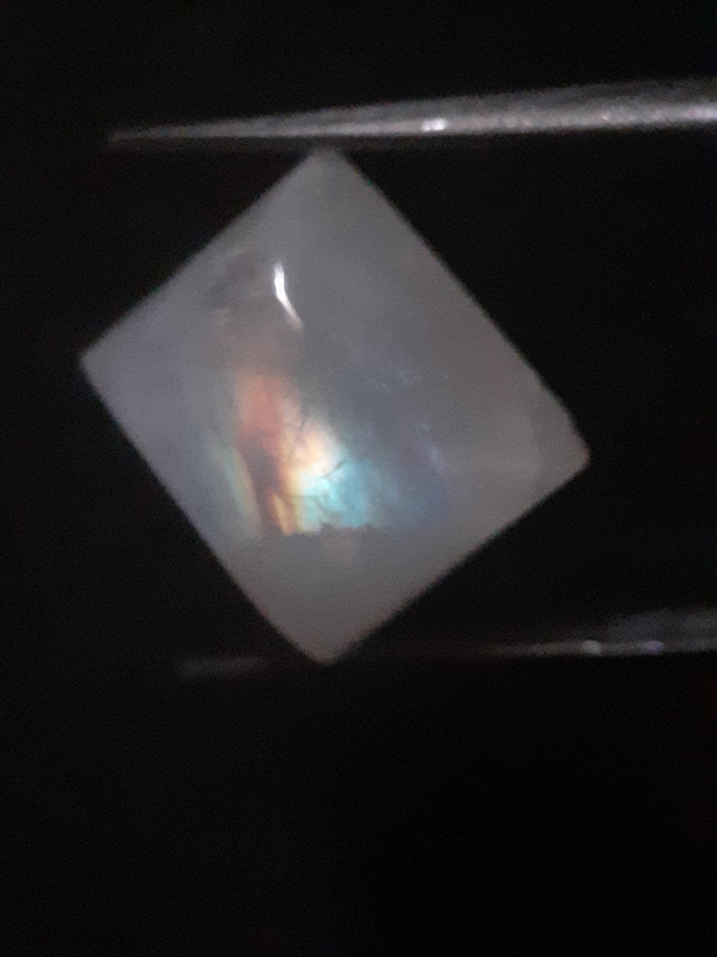 Natural Moonstone - rainbow adularescence - 11.583 ct - cushion cabochon - Natural Gems Belgium