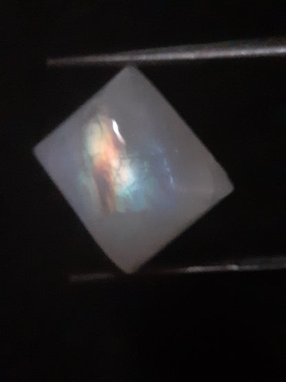 Natural Moonstone - rainbow adularescence - 11.583 ct - cushion cabochon - Natural Gems Belgium