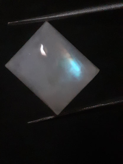 Natural Moonstone - rainbow adularescence - 11.583 ct - cushion cabochon - Natural Gems Belgium