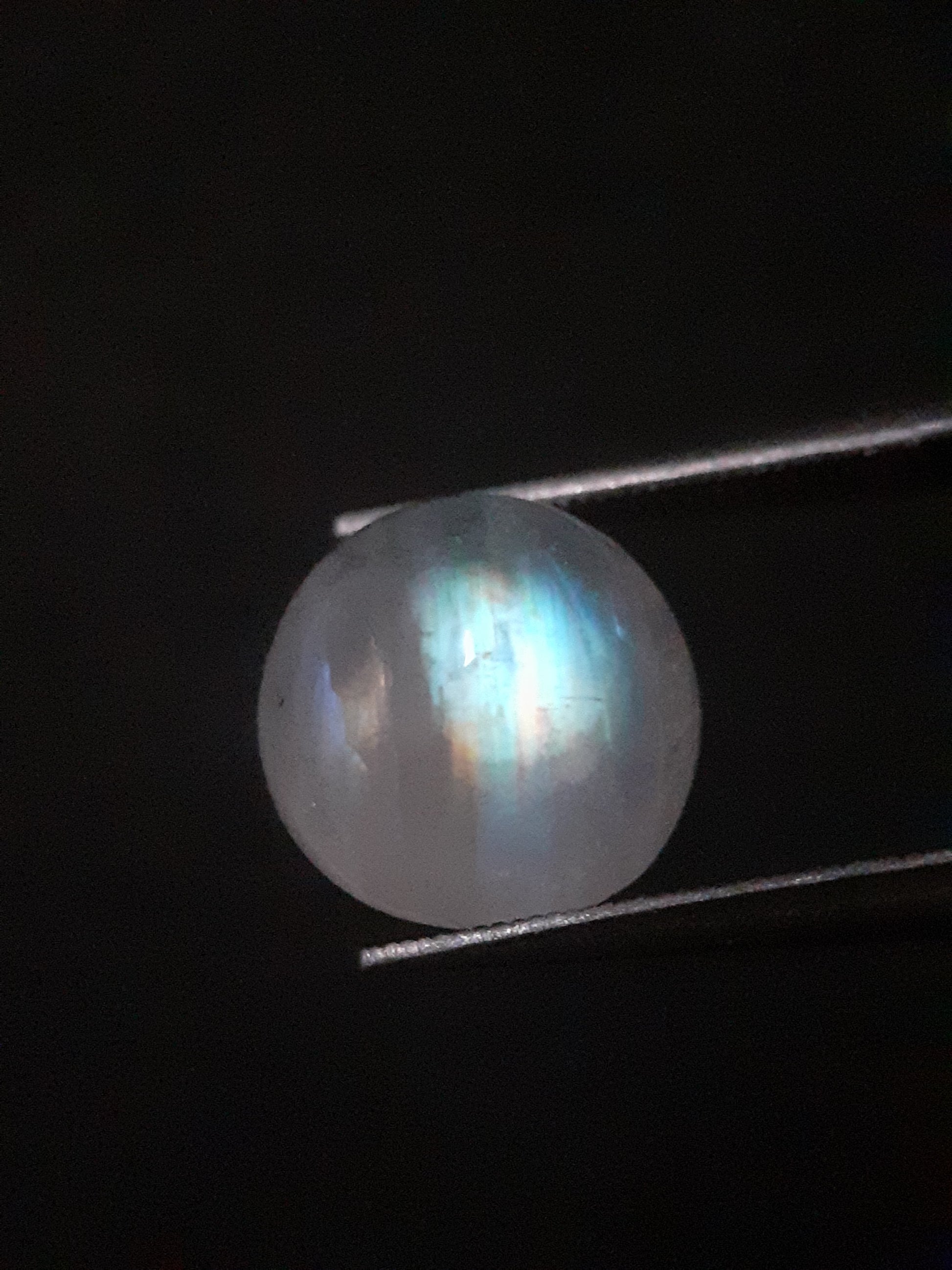 Natural Moonstone - rainbow adularescence - 3.923 ct - round cabochon - Natural Gems Belgium