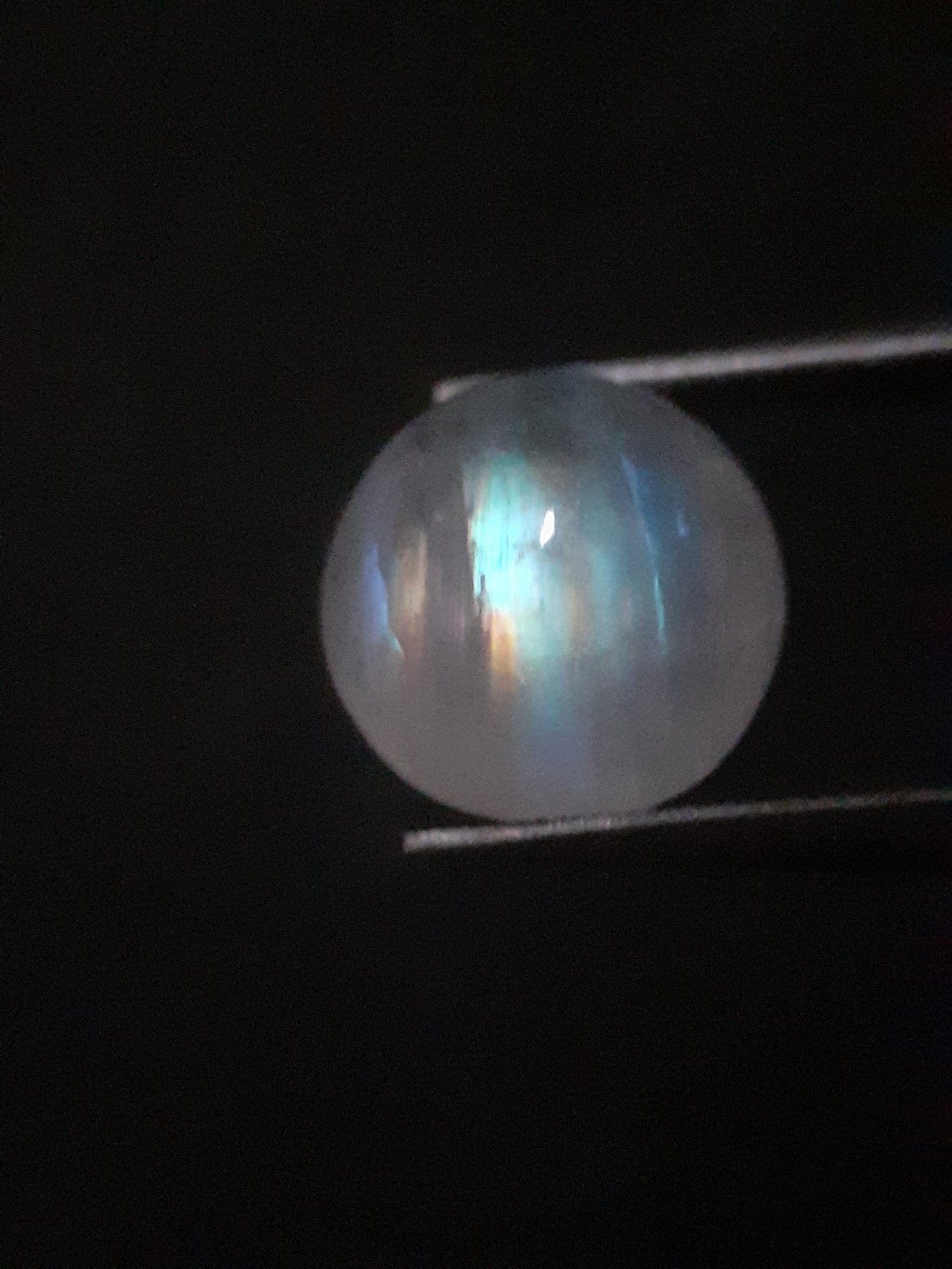 Natural Moonstone - rainbow adularescence - 3.923 ct - round cabochon - Natural Gems Belgium