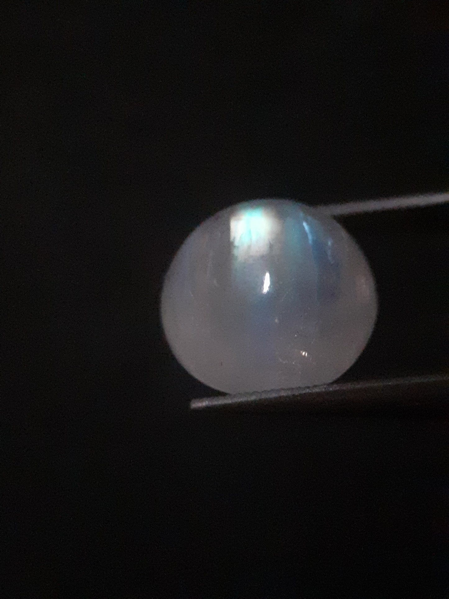 Natural Moonstone - rainbow adularescence - 3.923 ct - round cabochon - Natural Gems Belgium