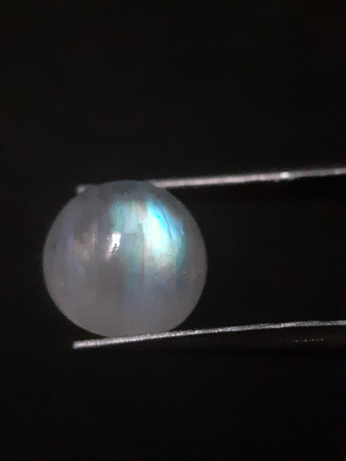 Natural Moonstone - rainbow adularescence - 3.923 ct - round cabochon - Natural Gems Belgium