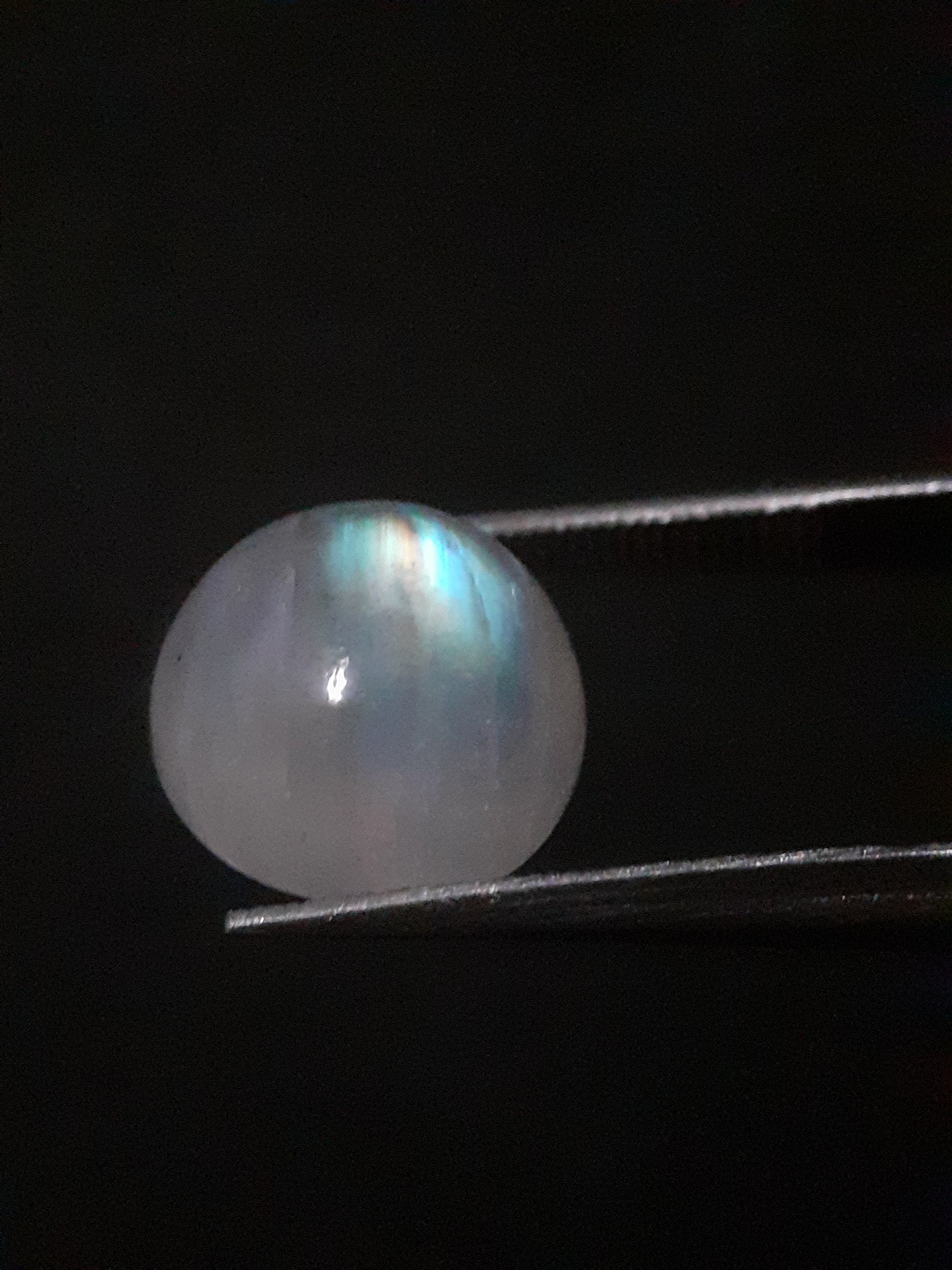 Natural Moonstone - rainbow adularescence - 3.923 ct - round cabochon - Natural Gems Belgium