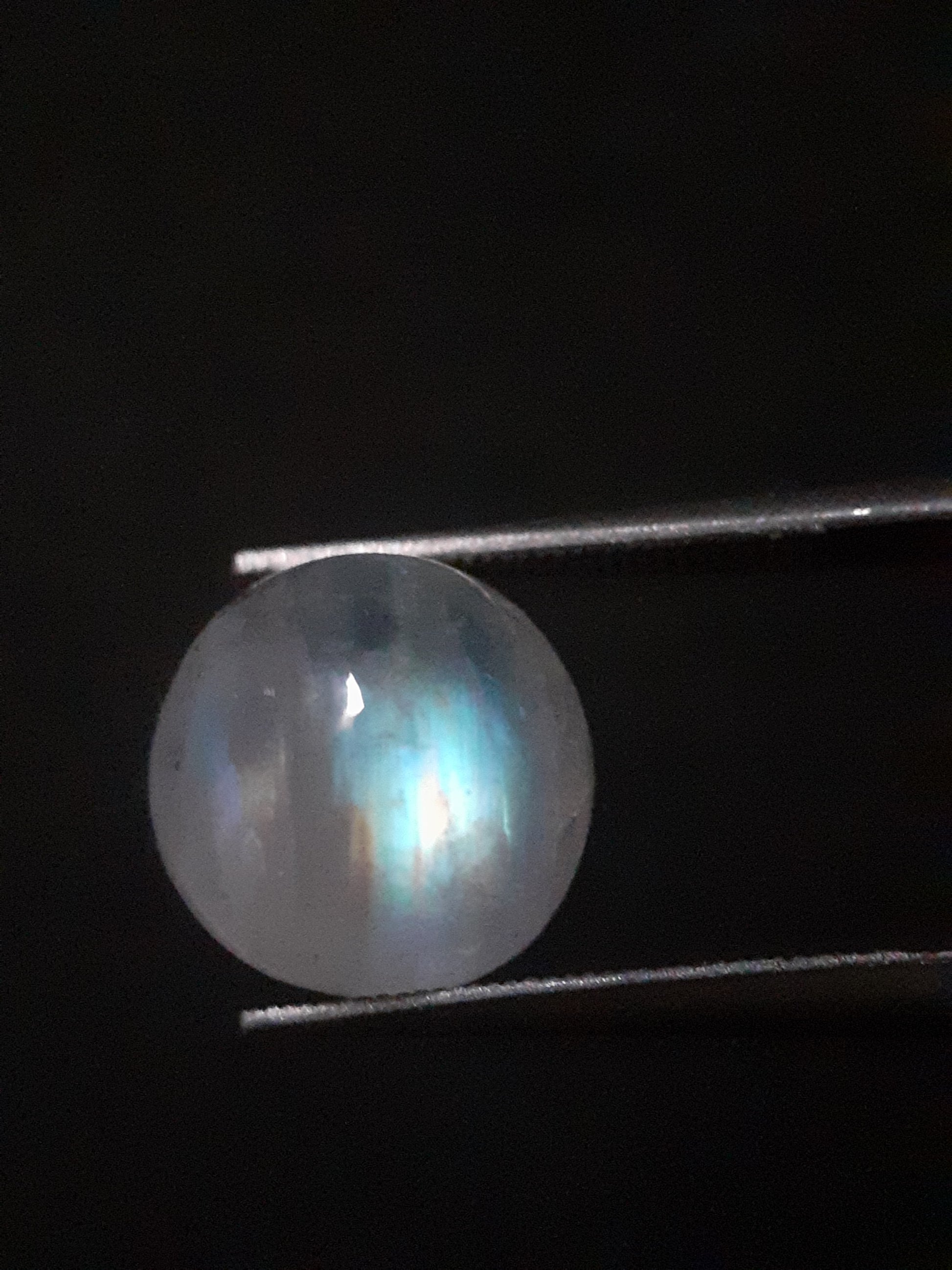 Natural Moonstone - rainbow adularescence - 3.923 ct - round cabochon - Natural Gems Belgium