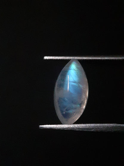 Natural Moonstone - shades of blue adularescence - 3.025 ct - marquise cabochon - Natural Gems Belgium