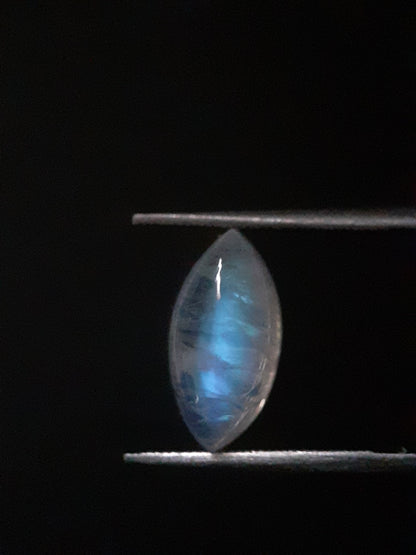 Natural Moonstone - shades of blue adularescence - 3.025 ct - marquise cabochon - Natural Gems Belgium