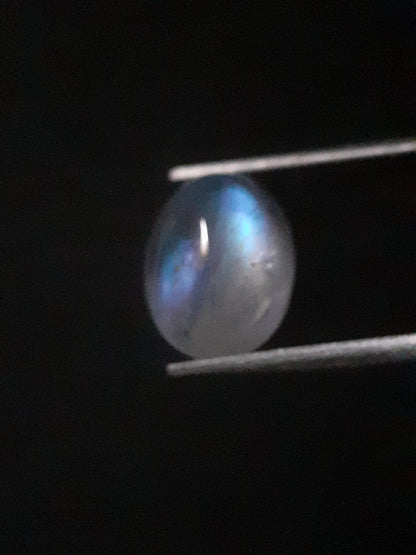 Natural Moonstone - light blue and blue adularescence - 2.099 ct - oval cabochon - Natural Gems Belgium